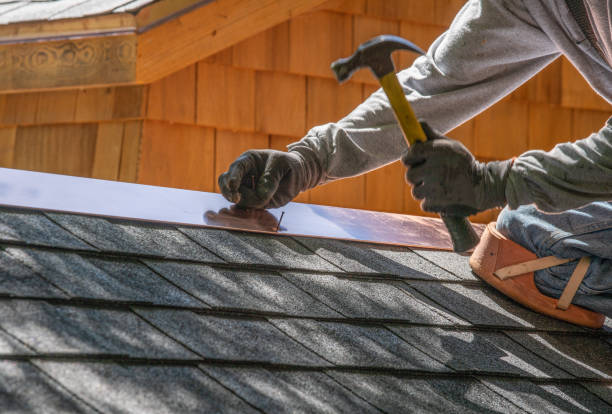Best Roof Coating and Sealing  in Calumet City, IL